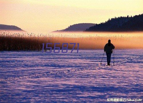 济南市建设监理和咨询行业团工委“青年文明号”授牌仪式圆满落幕