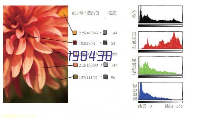 鱼跃血糖580型测试仪家用全自动血糖试纸50片200片装免调码血糖仪