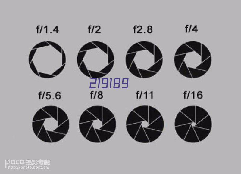 戴森(Dyson) 空气净化器取暖器暖风器 原装进口HP01白银