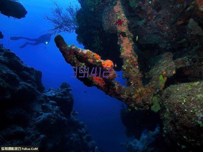 小糊涂仙酒52度500ml*12瓶浓香型国产白酒纯粮整箱