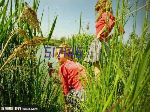 四川木工中央除尘器