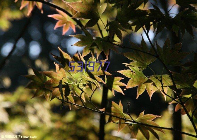 罗茨风机厂家