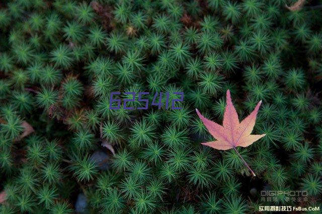 AE模板-250多个卡通彩色的信息图表元素包含16个饼图样式的可视化图表动画 Infographic | 250+ Pie Chart