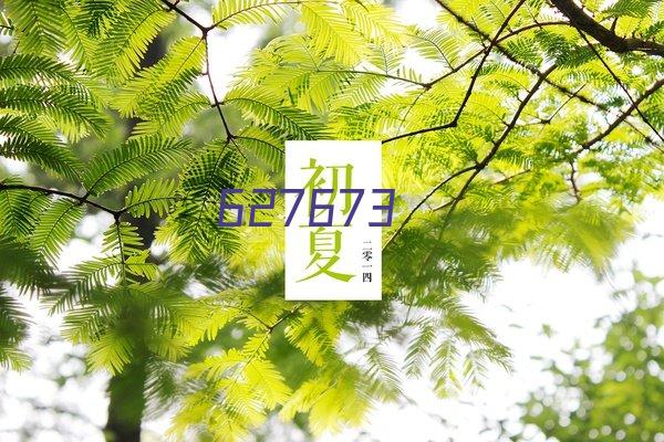 天喜高压电位治疗仪(1个月)