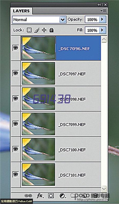 庭院龙虾雕塑价格 城市古铜色雕塑 生物小品