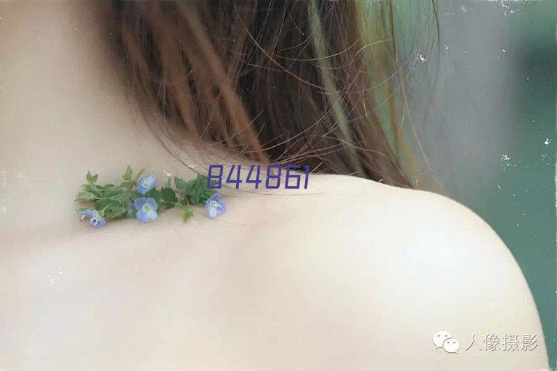 APE9300无线型病房呼叫系统