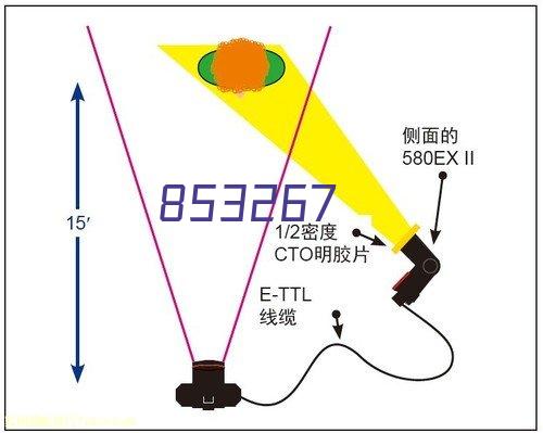 ZK星星绣花雪纺连衣裙中长款sukol裙少女心温柔超仙女chic裙子夏