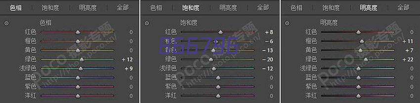 大华8盘位专业型H.265 NVR