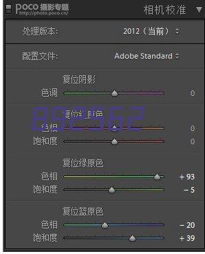 NCB系列不锈钢高粘度转子泵